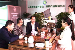 云南省农业科学院科技产品电子商务营销中心成立